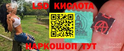mdpv Малоярославец