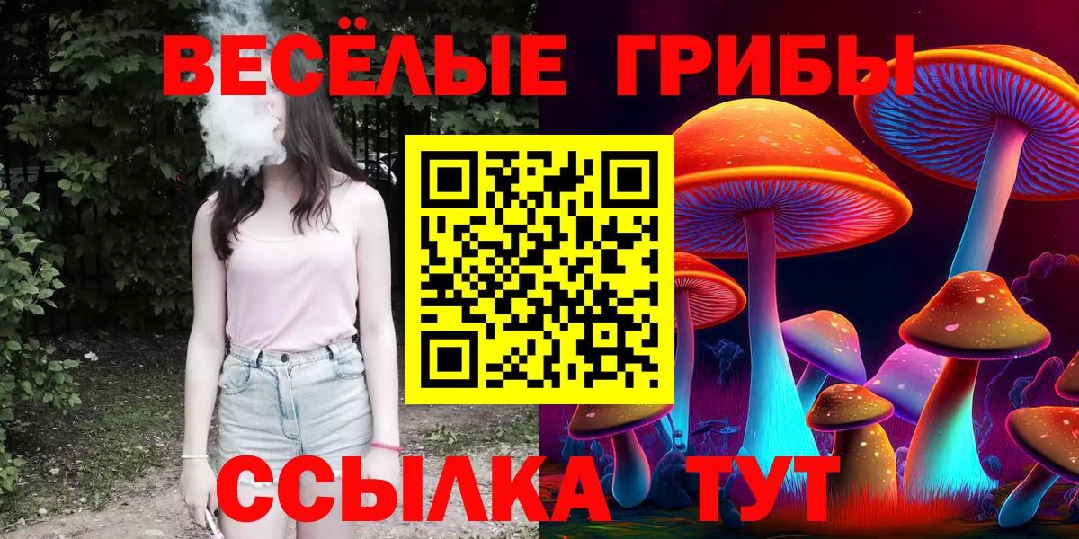 Псилоцибиновые грибы Cubensis  Вход с VPN  Чистополь 